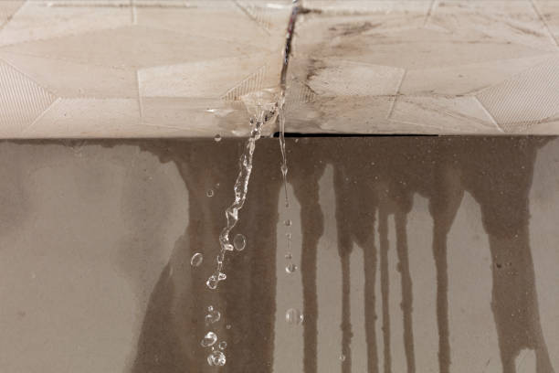 Professional Structural Drying technician working in Easton, PA